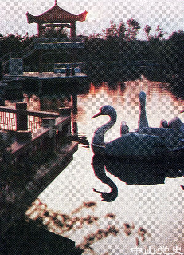 56.環(huán)翠湖天鵝戲水.jpg