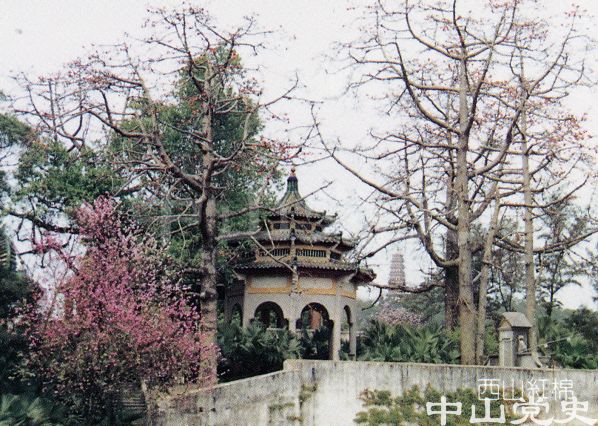 8.中山十景之西山紅棉.jpg