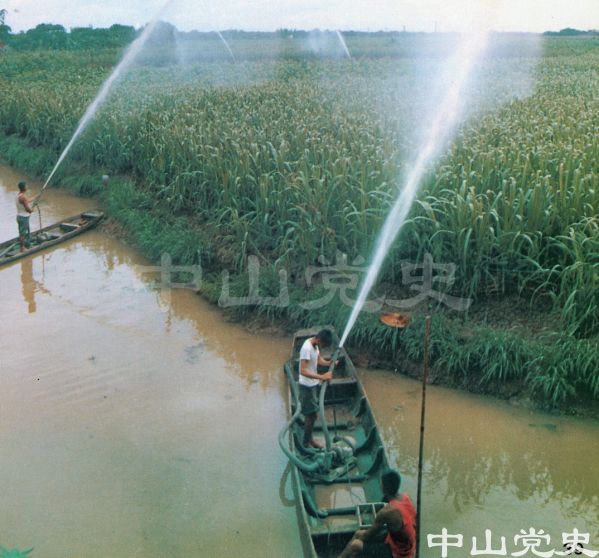 機械噴灌甘蔗.jpg