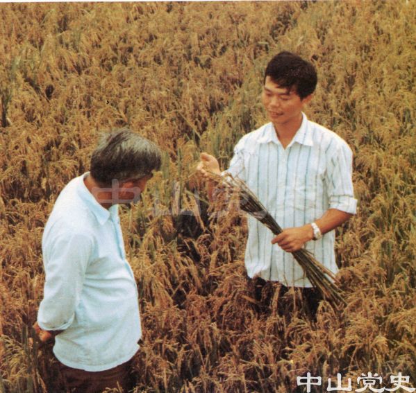 科學(xué)種田稻殼香.jpg