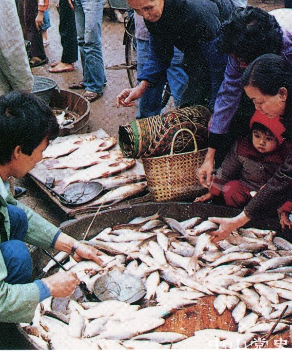 12.豐富多彩的小市場5.jpg