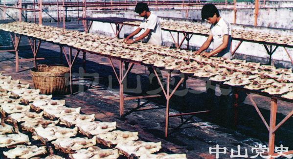 24.臘鴨加工場.jpg