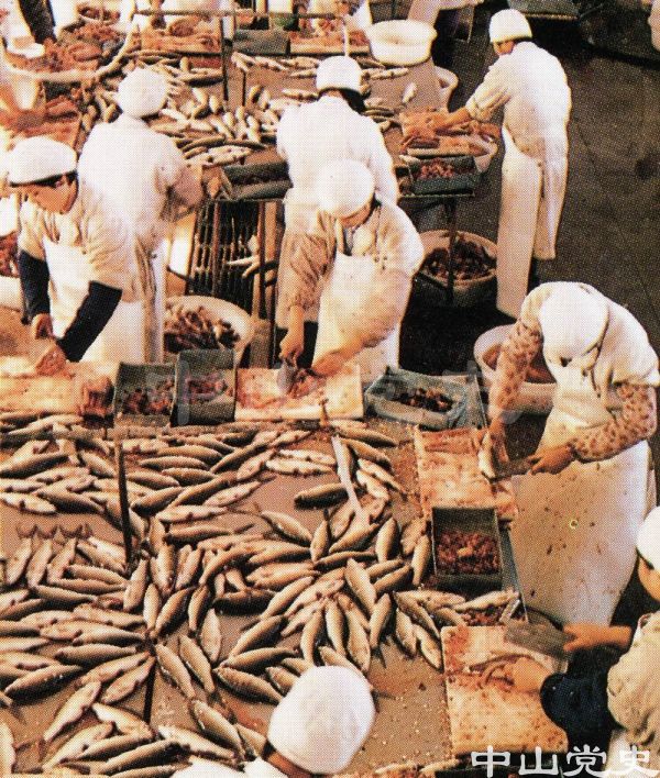 23.加工出口鯪魚.jpg