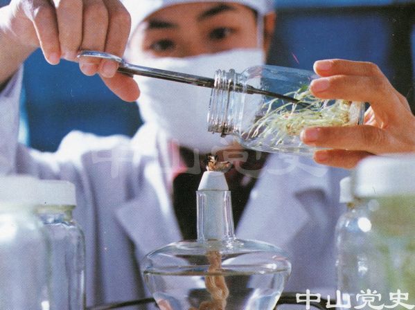 中山生物工程廠在進(jìn)行農(nóng)科實(shí)驗(yàn)2.jpg