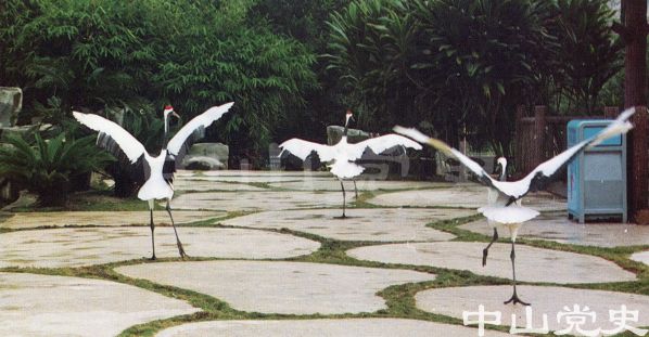 18.紫馬嶺公園鶯鳴谷.jpg