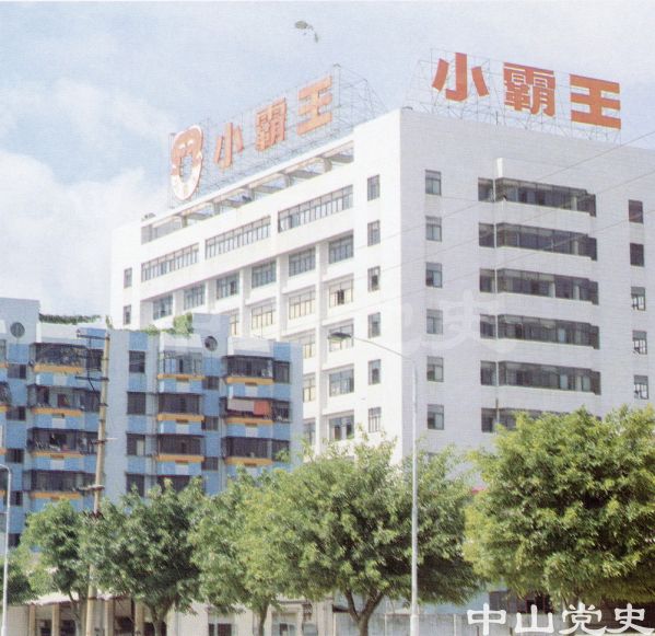 29.小霸王公司.jpg