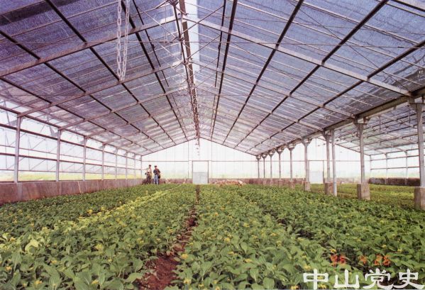 蔬菜生產(chǎn)基地.jpg