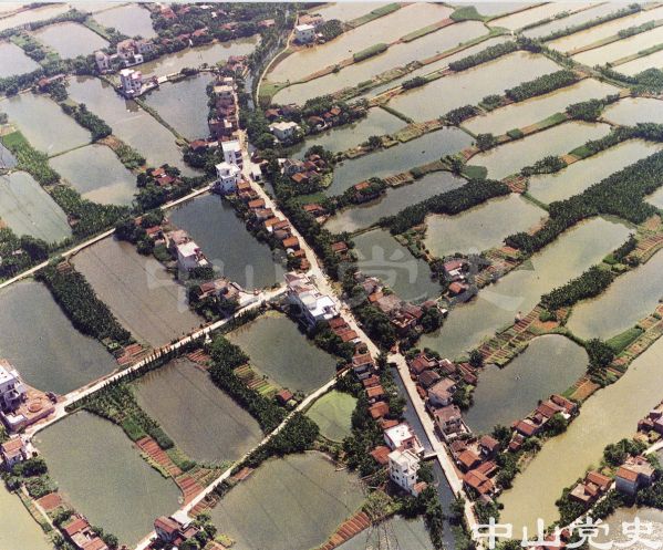 鰻魚養(yǎng)殖基地.jpg