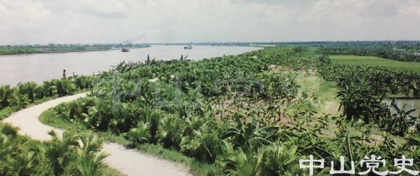 中順大圍.jpg