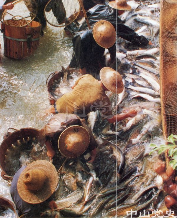 5.中山水產(chǎn)品出口基地.jpg