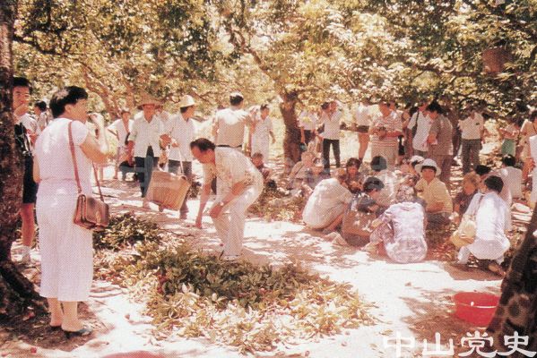 嘗鮮.jpg