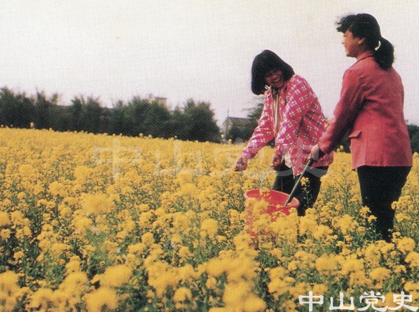 灌溉.jpg
