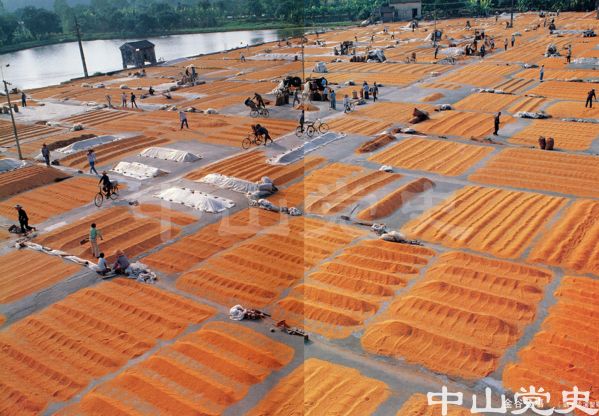 金谷登場（攝于沙溪圣獅）.jpg