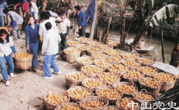 滿滿的收獲.jpg