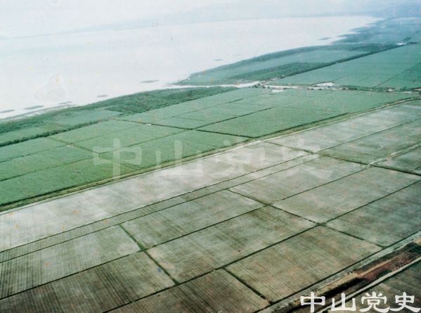 農(nóng)田.jpg