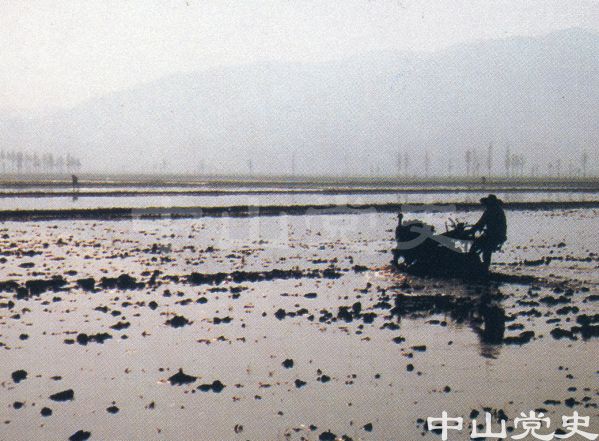 向農(nóng)業(yè)機械化進軍2.jpg