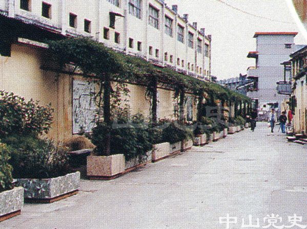 13.城區(qū)街道綠化1.jpg