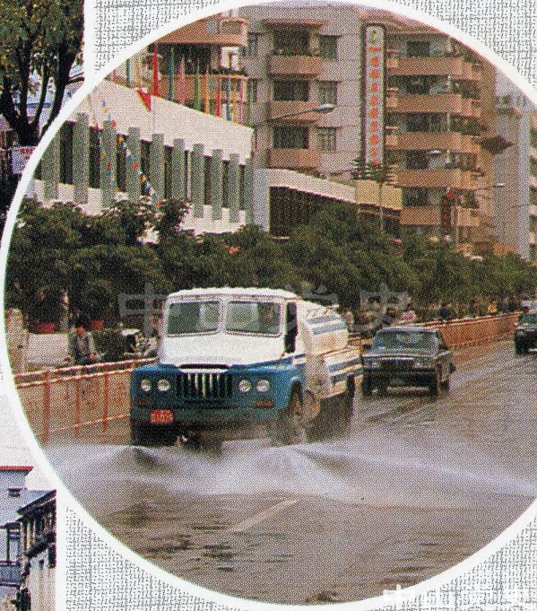 14.城區(qū)街道綠化2.jpg