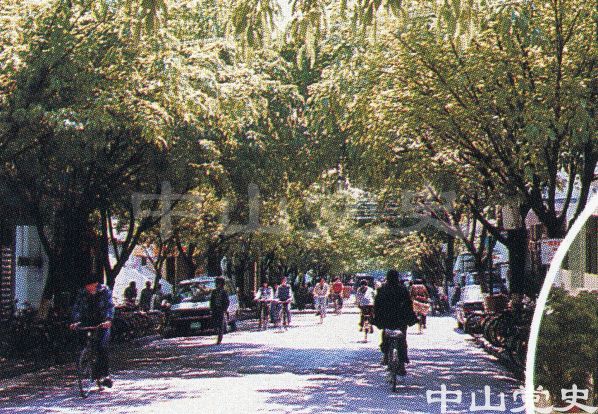 15.城區(qū)街道綠化3.jpg