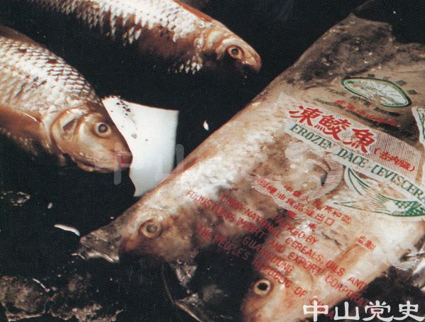 13.出口凍鯪魚.jpg