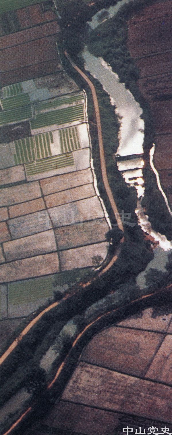 沙田水鄉(xiāng)風(fēng)采4.jpg