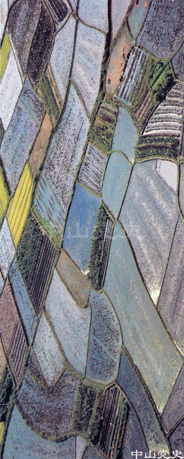 沙田水鄉(xiāng)風(fēng)采5.jpg