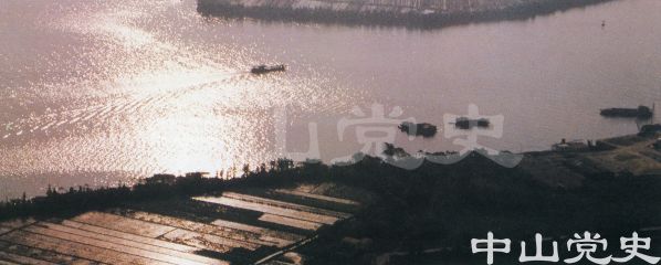 沙田水鄉(xiāng)風(fēng)采6.jpg