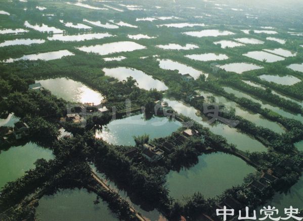 沙田水鄉(xiāng)風(fēng)采8.jpg