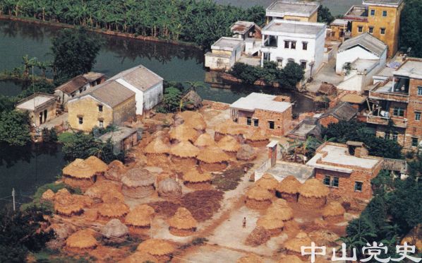 沙田水鄉(xiāng)風(fēng)采10.jpg