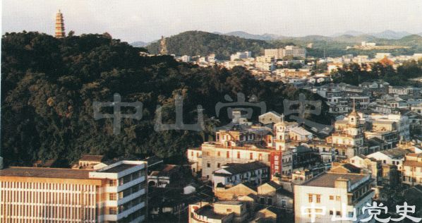 中山美1.jpg