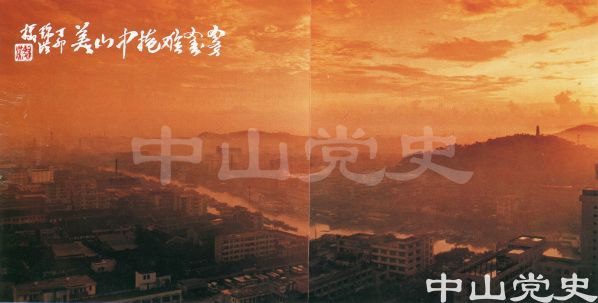 中山美.jpg