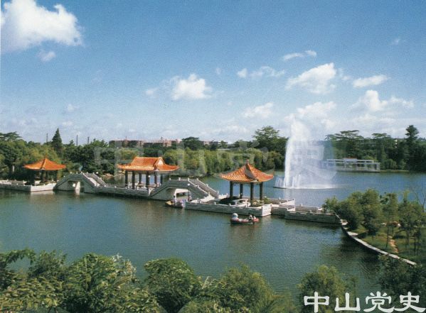 中山美2.jpg