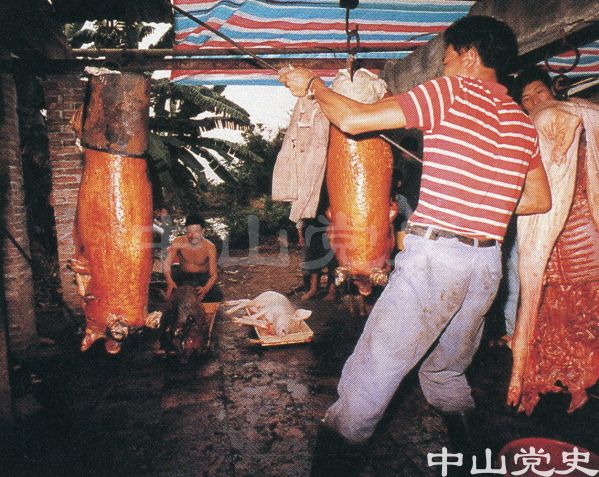 17.農(nóng)村生活掠影5.jpg