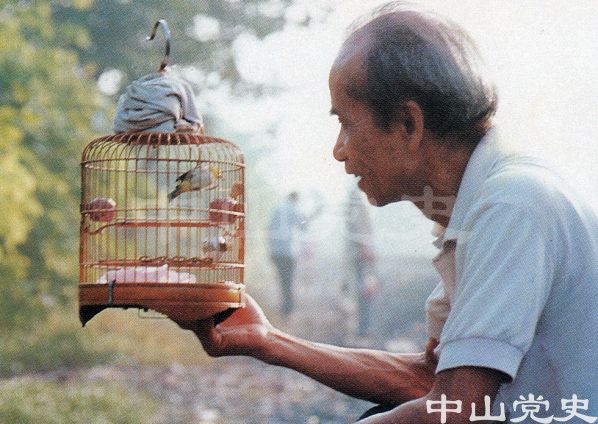 21.農(nóng)村生活樂(lè)呵呵.jpg