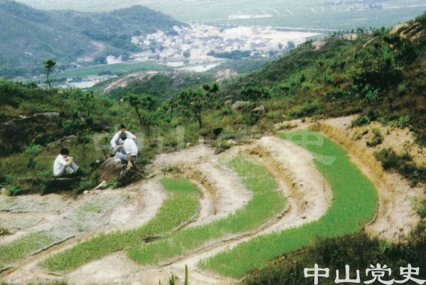 未命名3.jpg