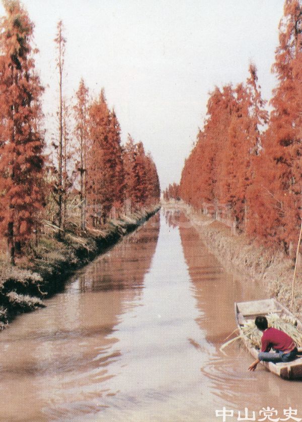 未命名4.jpg