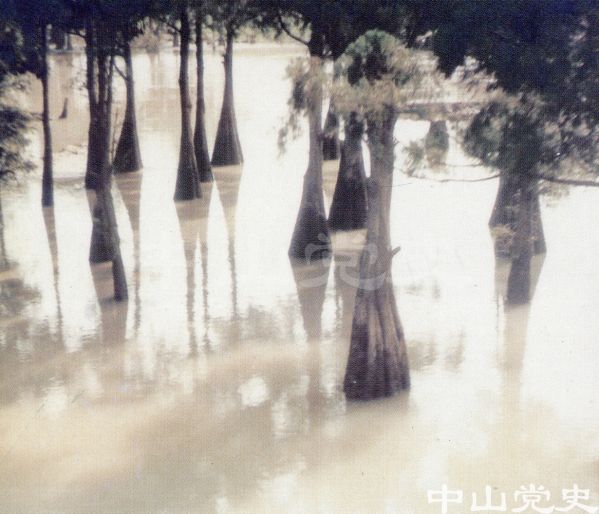 未命名7.jpg