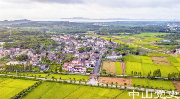 三農(nóng)-南朗鎮(zhèn)左步村 譚偉健 攝-2017年7月（1）.jpg