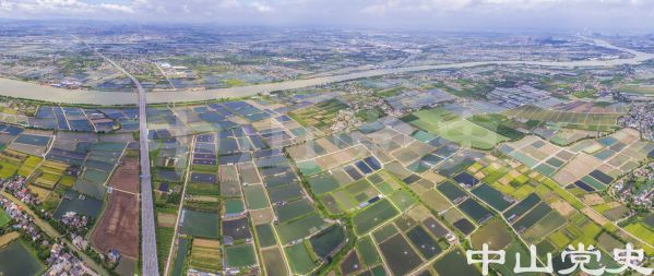 三農(nóng)-三角鎮(zhèn)農(nóng)業(yè)區(qū) 黃春華 攝-2017年8月.jpg