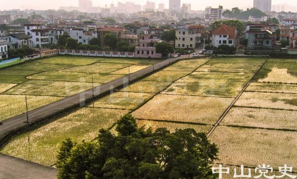 三農(nóng)-三鄉(xiāng)橋頭村 劉永興 攝 2017年7月.jpg