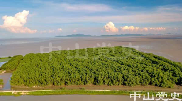生態(tài)-南朗大茅紅樹林 譚偉健 攝-2017年7月.jpg
