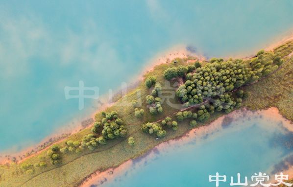 生態(tài)-長江濕地 蘇振飛 攝-2017年7月.jpg