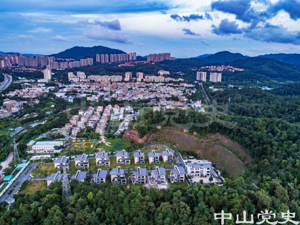 25-2長(zhǎng)江村遠(yuǎn)望 黃春華 攝（2020年6月）.jpg
