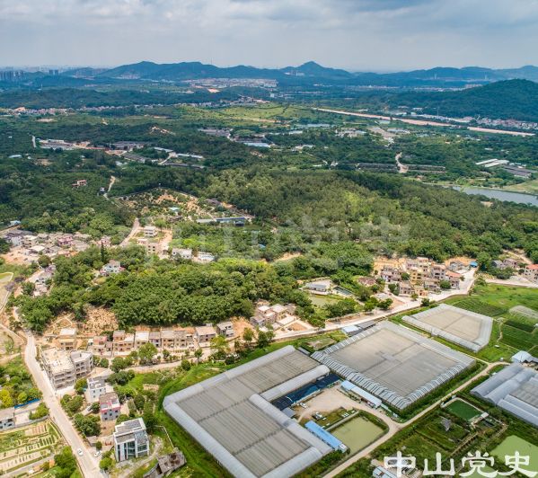 43-3圖中山上左邊為樹坑村，山邊與大棚間為合里新村 黃春華攝（2020年5月）.jpg