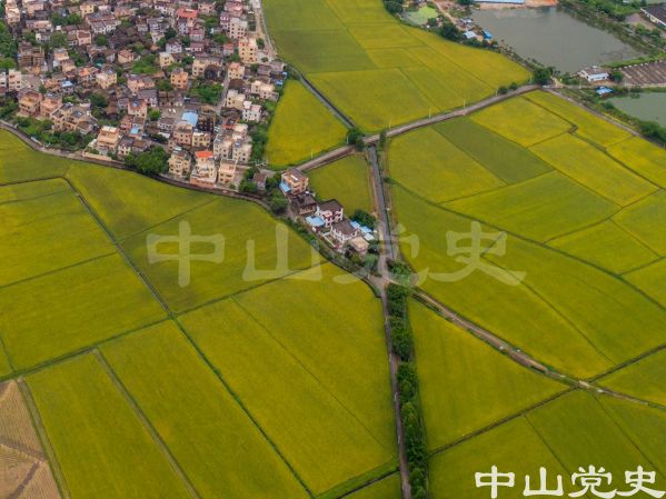 77-1南朗街道崖口陸家村  黃春華攝（2017年7月）.jpg