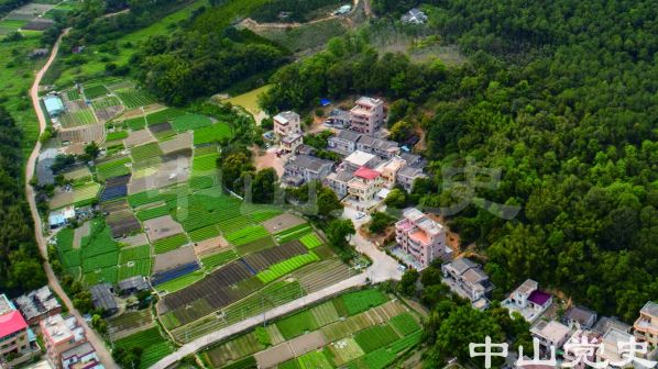 95- 南朗街道翠亨行政村后門(mén)坑村 黃春華攝（2020年3月）.jpg