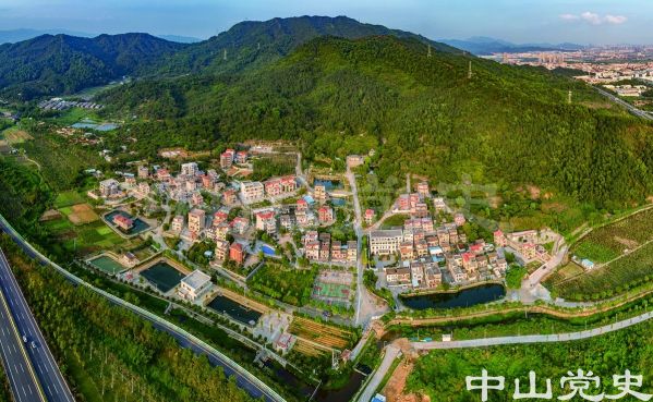 坦洲鎮(zhèn)新前進(jìn)行政村荷塘自然村 黃春華攝（2020年3月）.jpg