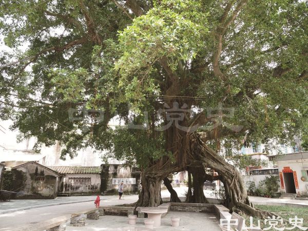 3.板芙鎮(zhèn)里溪月角自然村 （黃春華攝于2020年6月）.jpg