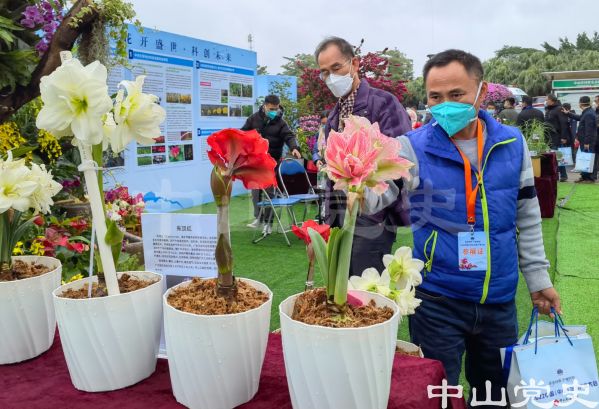 6.中國（中山）花木產(chǎn)業(yè)大會在橫欄鎮(zhèn)開幕（文智誠攝于2022年12月）.jpg