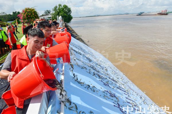 4.魚苗蝦苗游向江河（余兆宇攝于2023年6月）.jpg